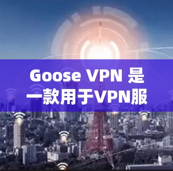 Goose VPN 是一款用于VPN服务的工具，旨在提供匿名和隐私化的网络连接体验。如果你想测试其网络，以下是基本的步骤