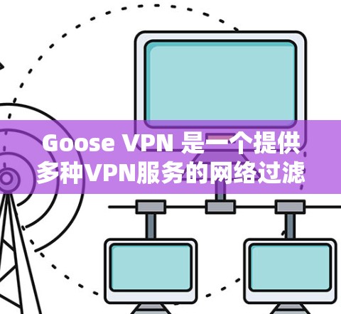 Goose VPN 是一个提供多种VPN服务的网络过滤器，旨在保护用户的数据和隐私。以下是对Goose VPN体验的分享