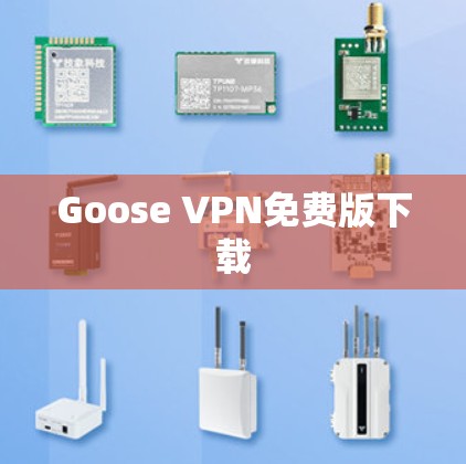 Goose VPN免费版下载