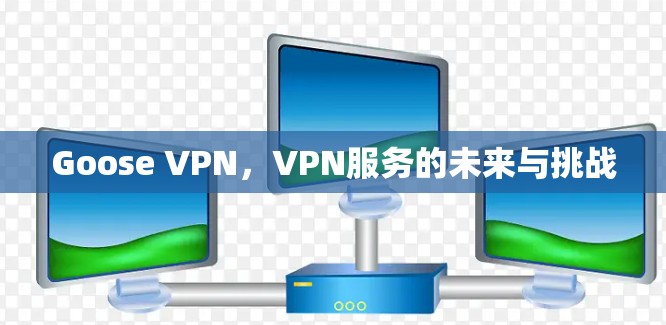 Goose VPN，VPN服务的未来与挑战