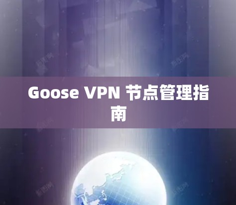 Goose VPN 节点管理指南