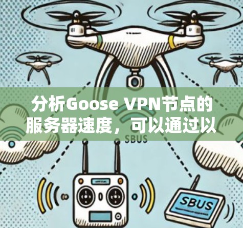 分析Goose VPN节点的服务器速度，可以通过以下步骤进行