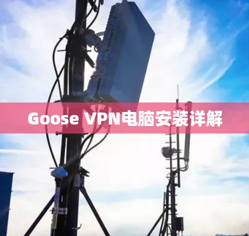 Goose VPN电脑安装详解