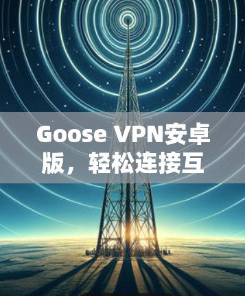 Goose VPN安卓版，轻松连接互联网的高效选择