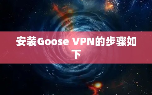 安装Goose VPN的步骤如下