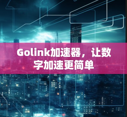 Golink加速器，让数字加速更简单