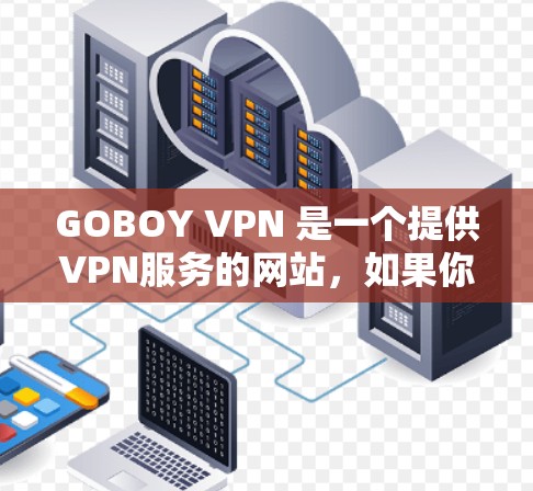 GOBOY VPN 是一个提供VPN服务的网站，如果你已经使用了GOBOY VPN，那么它本身不会提供速度检测工具。不过，如果你正在考虑使用GOBOY VPN，并且希望评估其速度，你可以尝试以下步骤