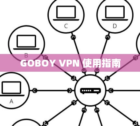 GOBOY VPN 使用指南