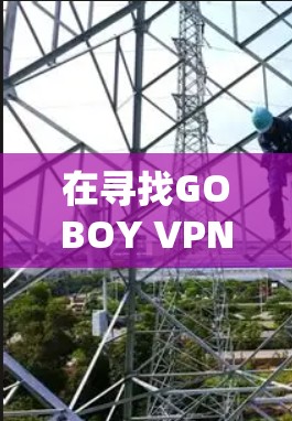 在寻找GOBOY VPN的官方下载入口时，建议按照以下步骤进行