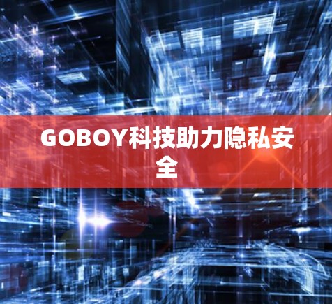 GOBOY科技助力隐私安全