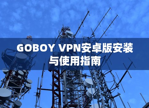 GOBOY VPN安卓版安装与使用指南