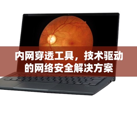 内网穿透工具，技术驱动的网络安全解决方案