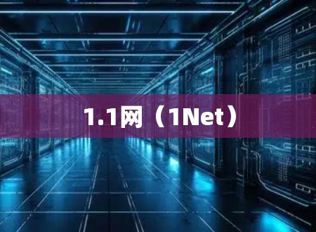 1.1网（1Net）