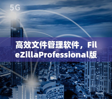 高效文件管理软件，FileZillaProfessional版