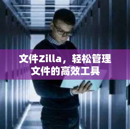 文件Zilla，轻松管理文件的高效工具