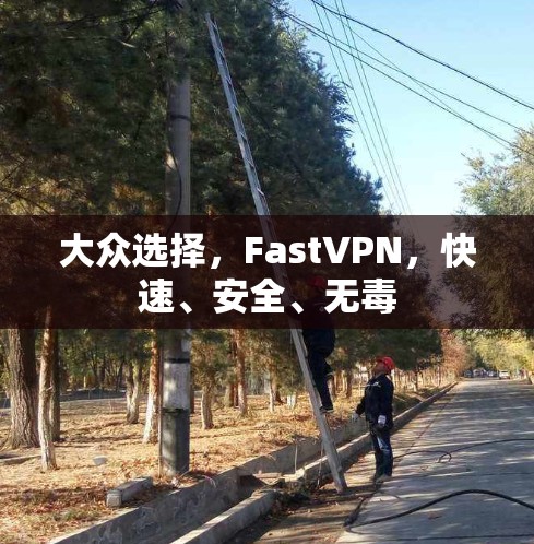 大众选择，FastVPN，快速、安全、无毒