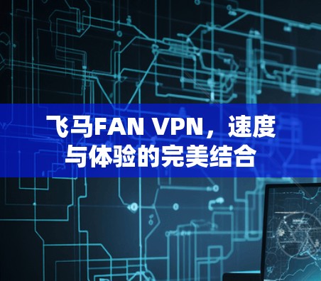 飞马FAN VPN，速度与体验的完美结合