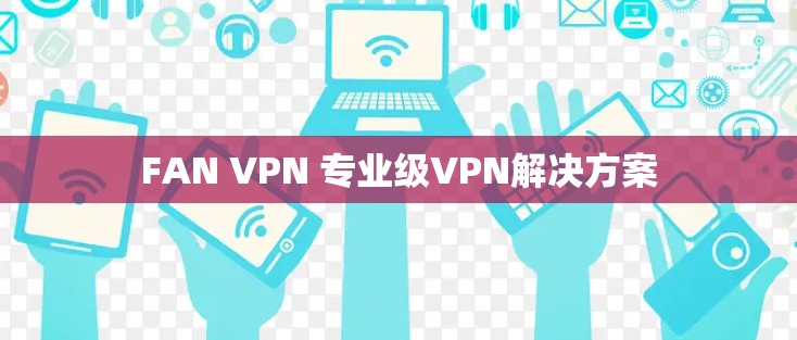 FAN VPN 专业级VPN解决方案