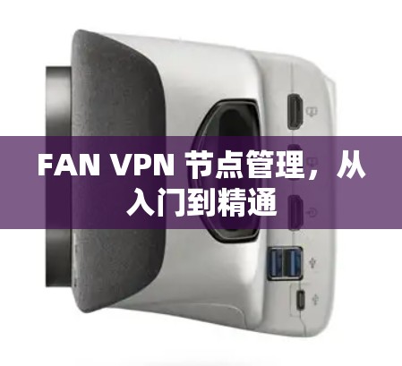FAN VPN 节点管理，从入门到精通
