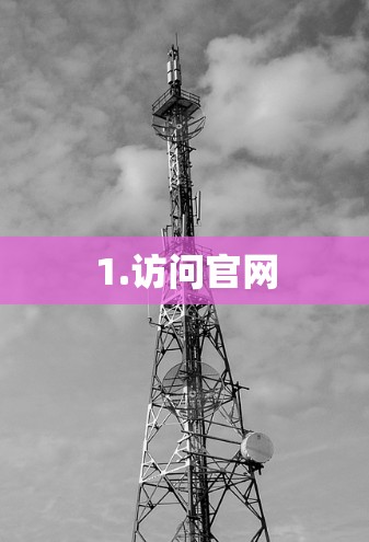1.访问官网