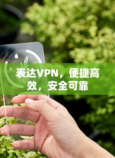 表达VPN，便捷高效，安全可靠