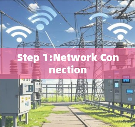Step 1:Network Connection