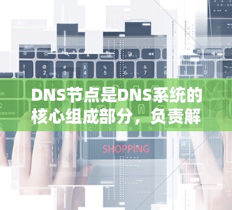 DNS节点是DNS系统的核心组成部分，负责解析域名并将它们映射到对应的IP地址。以下是DNS节点的详细介绍
