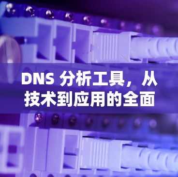 DNS 分析工具，从技术到应用的全面探索