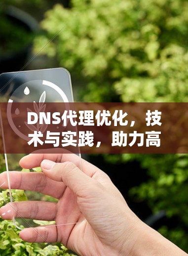 DNS代理优化，技术与实践，助力高效通信体验