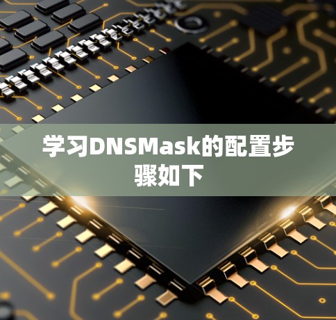 学习DNSMask的配置步骤如下