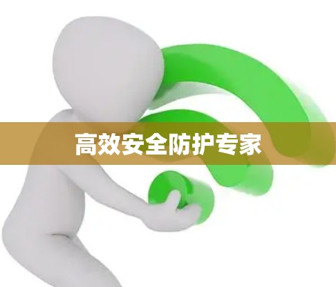 高效安全防护专家 高效安全防护专家