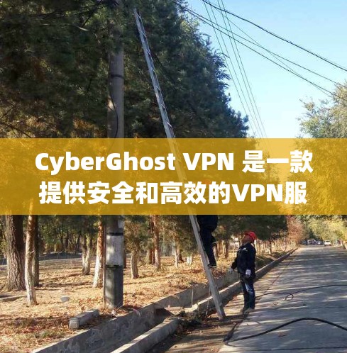 CyberGhost VPN 是一款提供安全和高效的VPN服务，用户可以根据自己的需求和预算选择合适的版本。以下是对 CyberGhost VPN体验的分析