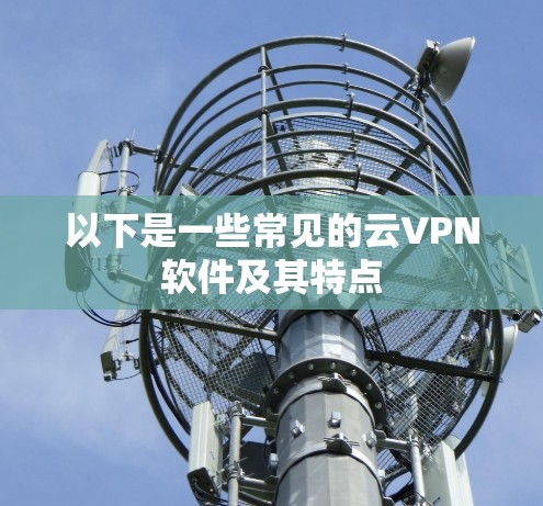 以下是一些常见的云VPN软件及其特点