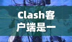 Clash客户端是一款功能强大的游戏脚本管理工具，支持多种游戏平台，包括PC、手机、PS4和主机。以下是对Clash客户端工具的详细介绍
