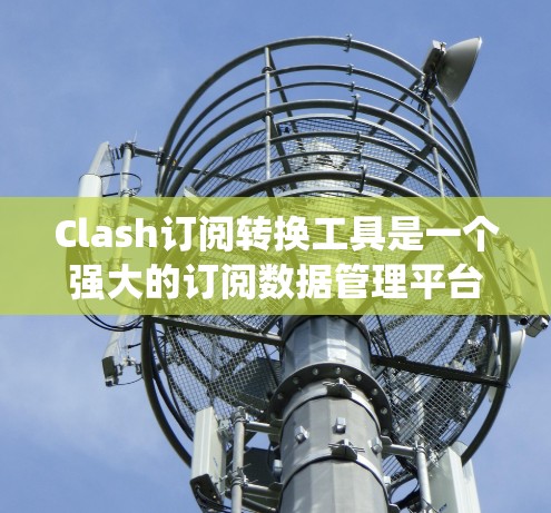 Clash订阅转换工具是一个强大的订阅数据管理平台，旨在帮助用户将不同订阅平台的数据统一转换和处理，方便后续分析和决策。以下是对该工具的详细介绍