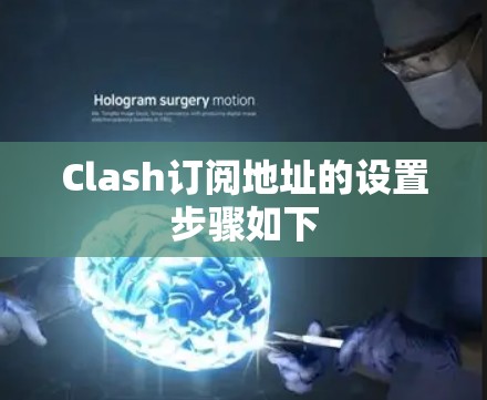 Clash订阅地址的设置步骤如下 Clash订阅地址的设置步骤如下