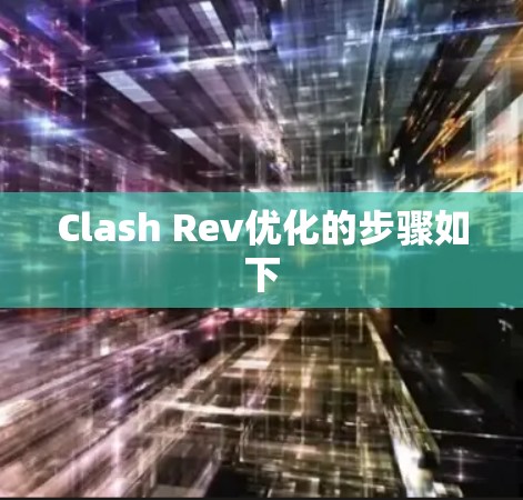 Clash Rev优化的步骤如下