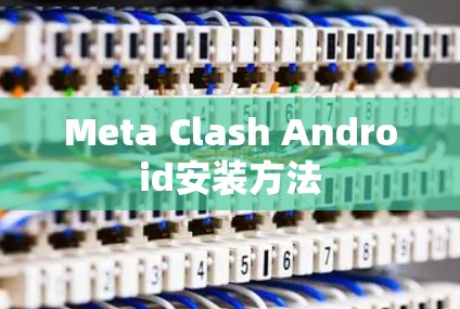 Meta Clash Android安装方法