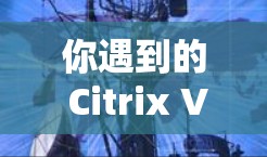你遇到的 Citrix VPN 连接问题可以通过以下步骤逐步排查和解决