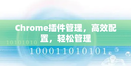 Chrome插件管理，高效配置，轻松管理
