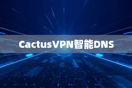 CactusVPN智能DNS