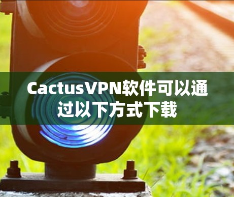CactusVPN软件可以通过以下方式下载