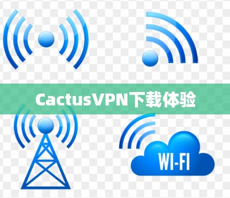 CactusVPN下载体验