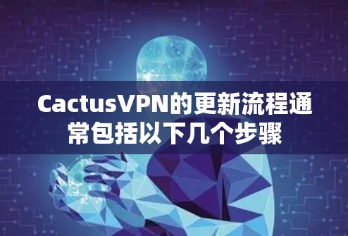 CactusVPN的更新流程通常包括以下几个步骤