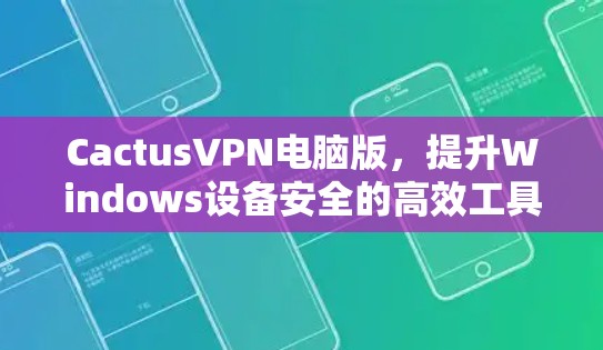 CactusVPN电脑版，提升Windows设备安全的高效工具