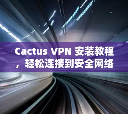 Cactus VPN 安装教程，轻松连接到安全网络
