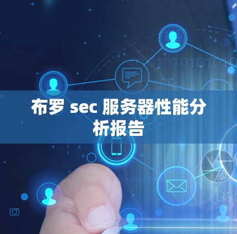 布罗 sec 服务器性能分析报告