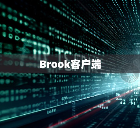 Brook客户端
