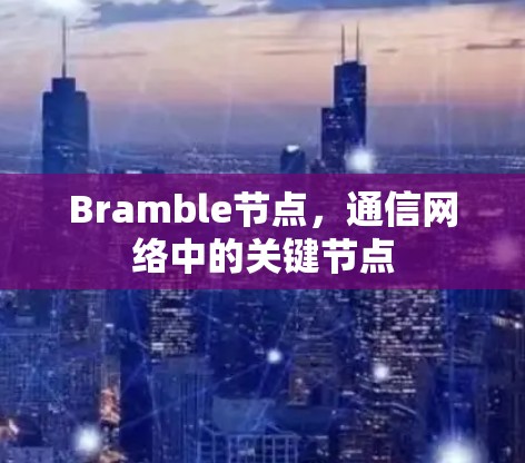 Bramble节点,通信网络中的关键节点 Bramble节点,通信网络中的关键节点