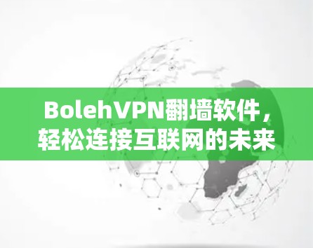 BolehVPN翻墙软件，轻松连接互联网的未来解决方案